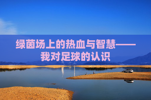 绿茵场上的热血与智慧——我对足球的认识