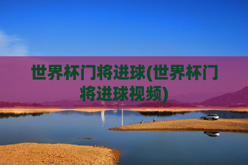 世界杯门将进球(世界杯门将进球视频)