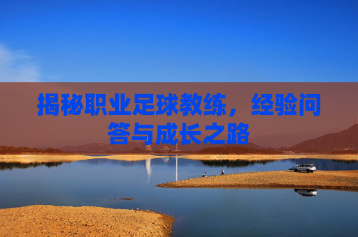 揭秘职业足球教练,经验问答与成长之路