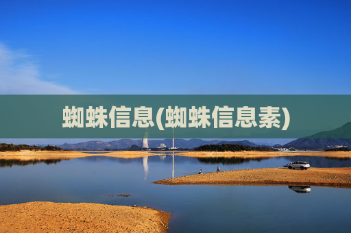 蜘蛛信息(蜘蛛信息素)