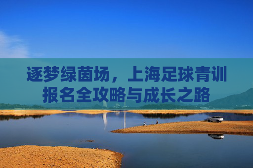 逐梦绿茵场,上海足球青训报名全攻略与成长之路