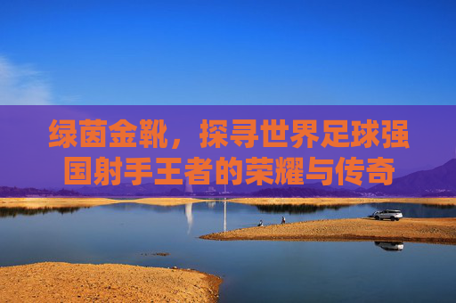 绿茵金靴,探寻世界足球强国射手王者的荣耀与传奇