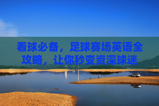 看球必备,足球赛场英语全攻略,让你秒变资深球迷