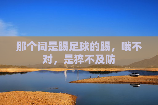 那个词是踢足球的踢,哦不对,是猝不及防