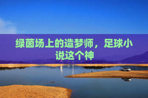 绿茵场上的造梦师,足球小说这个神