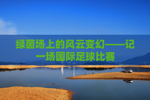 绿茵场上的风云变幻——记一场国际足球比赛