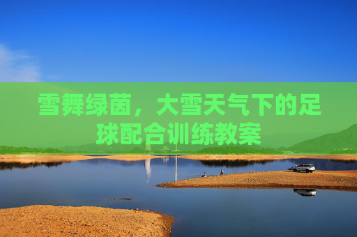 雪舞绿茵,大雪天气下的足球配合训练教案