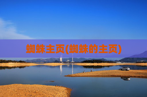 蜘蛛主页(蜘蛛的主页)