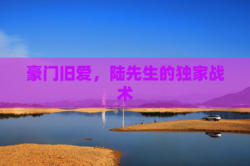 豪门旧爱,陆先生的独家战术
