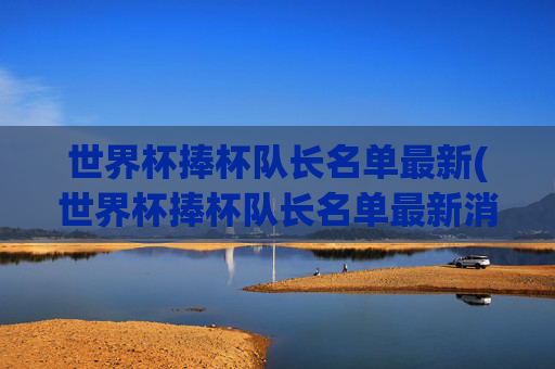 世界杯捧杯队长名单最新(世界杯捧杯队长名单最新消息)
