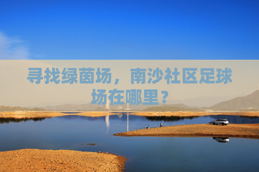 寻找绿茵场,南沙社区足球场在哪里?