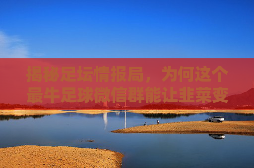 揭秘足坛情报局,为何这个最牛足球微信群能让韭菜变镰刀?