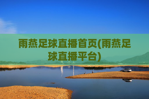雨燕足球直播首页(雨燕足球直播平台)