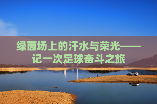 绿茵场上的汗水与荣光——记一次足球奋斗之旅