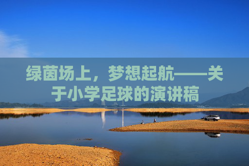 绿茵场上,梦想起航——关于小学足球的演讲稿