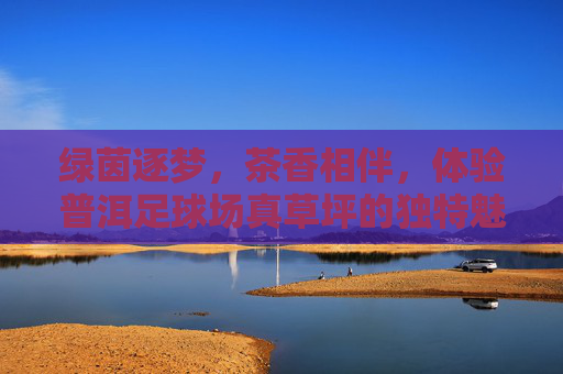 绿茵逐梦,茶香相伴,体验普洱足球场真草坪的独特魅力