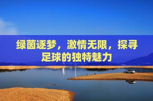 绿茵逐梦,激情无限,探寻足球的独特魅力