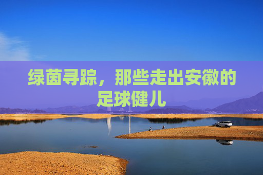 绿茵寻踪,那些走出安徽的足球健儿
