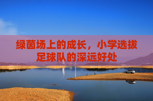 绿茵场上的成长,小学选拔足球队的深远好处