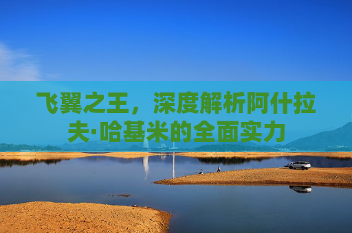 飞翼之王,深度解析阿什拉夫·哈基米的全面实力