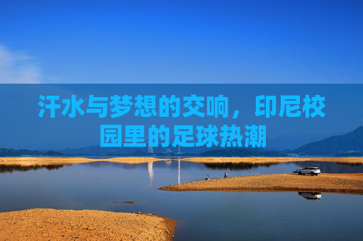 汗水与梦想的交响,印尼校园里的足球热潮