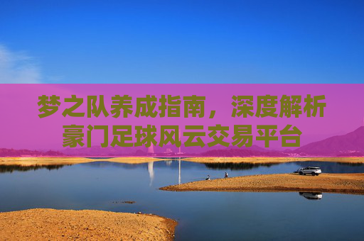 梦之队养成指南,深度解析豪门足球风云交易平台