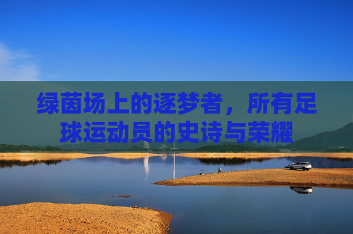 绿茵场上的逐梦者,所有足球运动员的史诗与荣耀