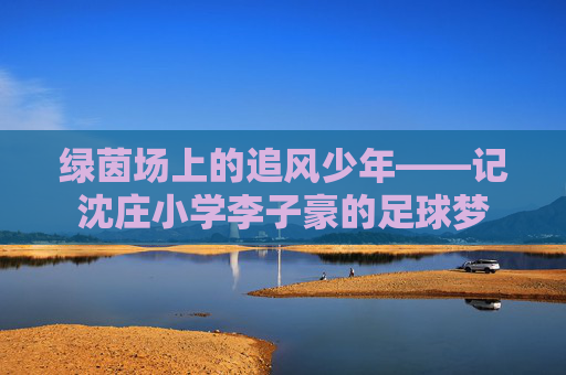绿茵场上的追风少年——记沈庄小学李子豪的足球梦