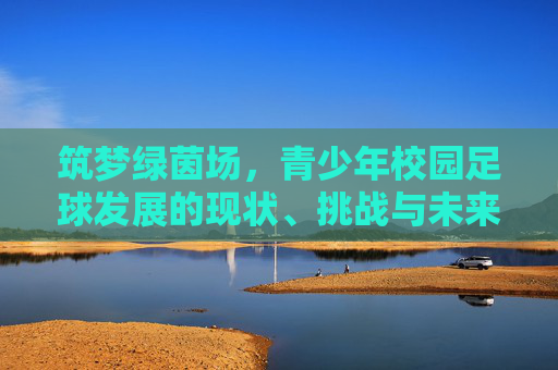 筑梦绿茵场,青少年校园足球发展的现状、挑战与未来展望
