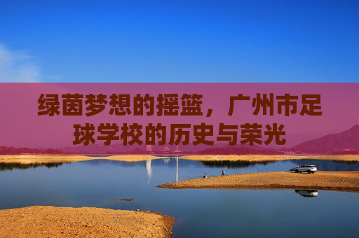 绿茵梦想的摇篮,广州市足球学校的历史与荣光