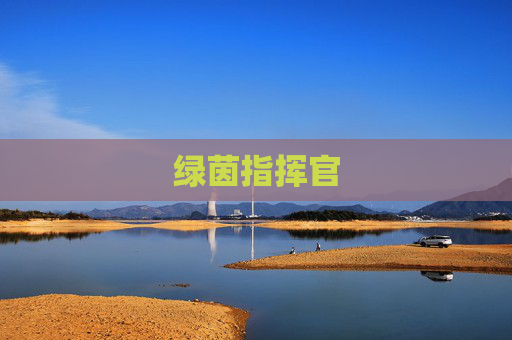 绿茵指挥官