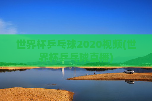 世界杯乒乓球2020视频(世界杯乒乓球直播)