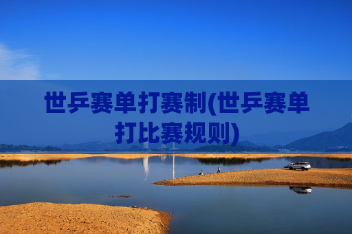 世乒赛单打赛制(世乒赛单打比赛规则)