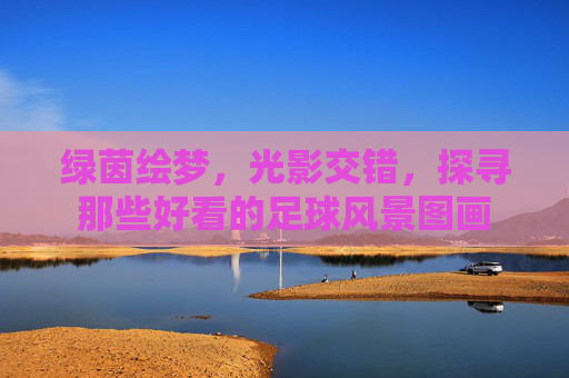绿茵绘梦,光影交错,探寻那些好看的足球风景图画