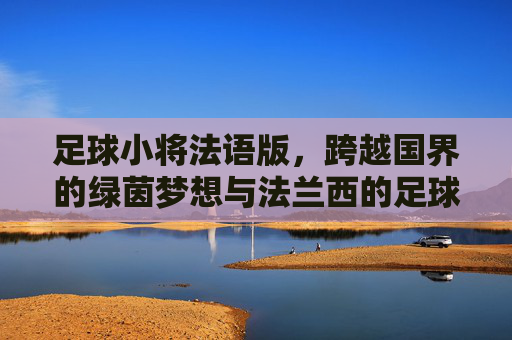 足球小将法语版,跨越国界的绿茵梦想与法兰西的足球情结