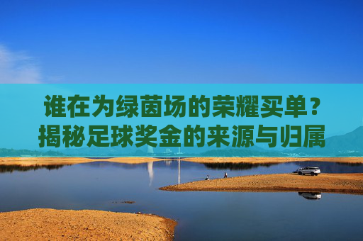 谁在为绿茵场的荣耀买单?揭秘足球奖金的来源与归属