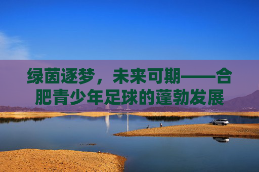 绿茵逐梦,未来可期——合肥青少年足球的蓬勃发展