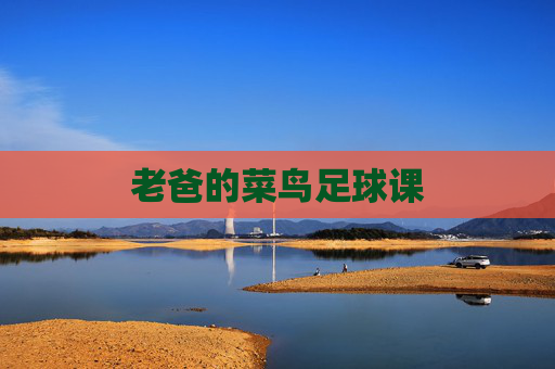 老爸的菜鸟足球课