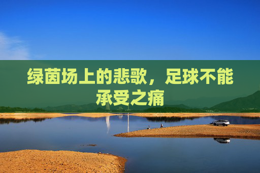 绿茵场上的悲歌，足球不能承受之痛