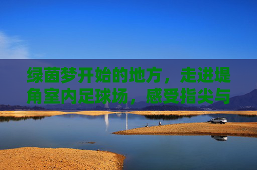 绿茵梦开始的地方,走进堤角室内足球场,感受指尖与脚尖的激情碰撞