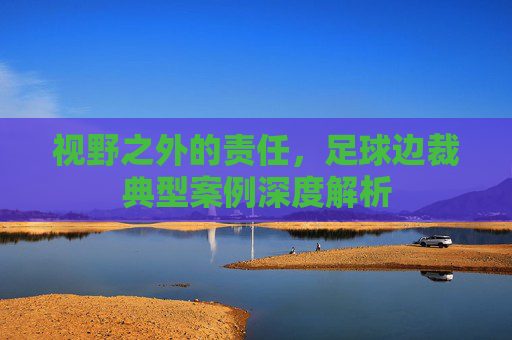 视野之外的责任,足球边裁典型案例深度解析