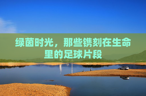 绿茵时光,那些镌刻在生命里的足球片段