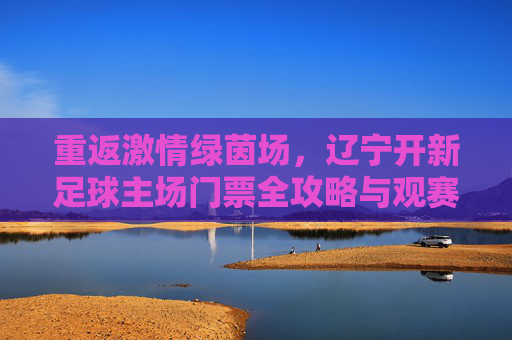 重返激情绿茵场,辽宁开新足球主场门票全攻略与观赛指南
