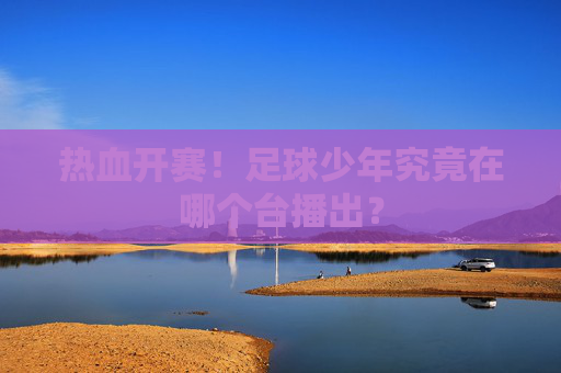 热血开赛!足球少年究竟在哪个台播出?