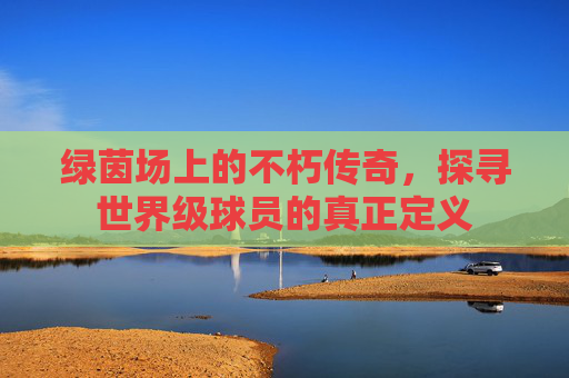 绿茵场上的不朽传奇,探寻世界级球员的真正定义
