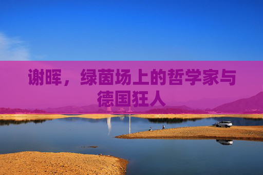 谢晖,绿茵场上的哲学家与德国狂人