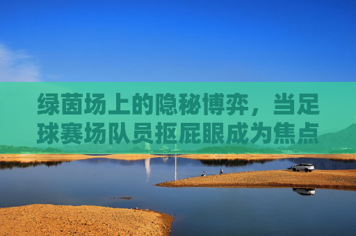 绿茵场上的隐秘博弈,当足球赛场队员抠屁眼成为焦点