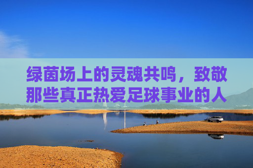 绿茵场上的灵魂共鸣,致敬那些真正热爱足球事业的人