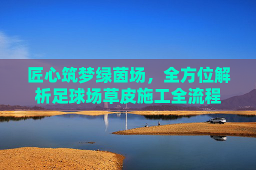 匠心筑梦绿茵场,全方位解析足球场草皮施工全流程