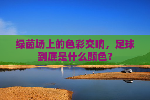 绿茵场上的色彩交响,足球到底是什么颜色?